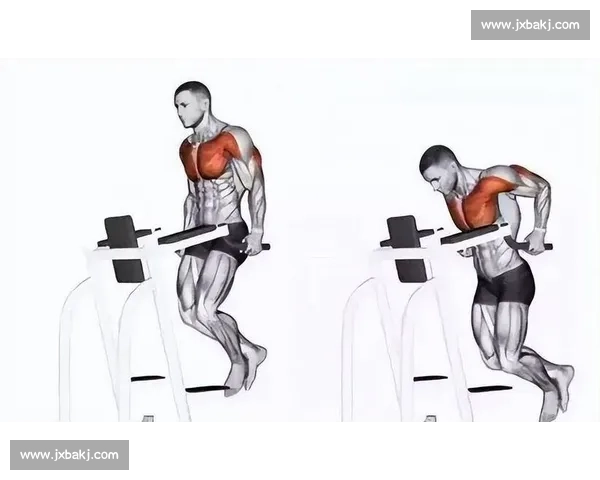 健美比赛冠军的训练秘籍与饮食策略揭秘提升肌肉力量与线条的科学方法